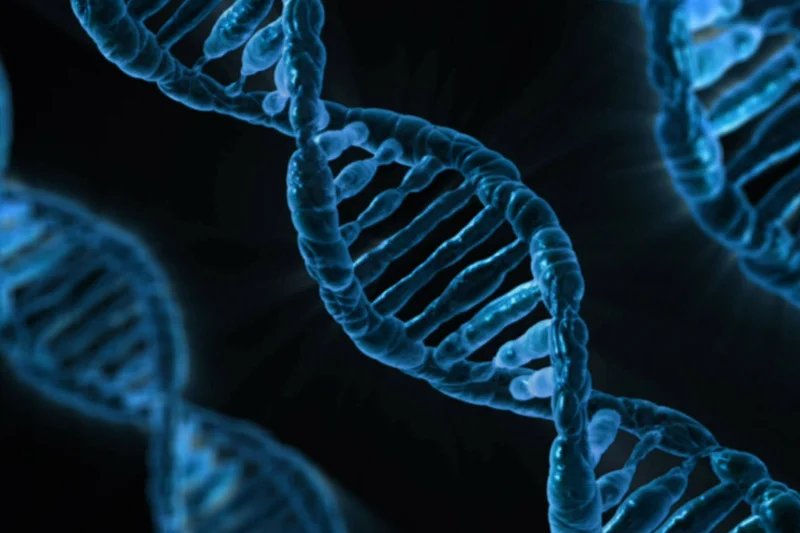 Dzięki naukowcom z Poznania DNA może nie mieć już przed nami tajemnic.