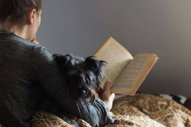 Firma Hayka ze Szczecina powstała w 2015 roku, ale na swoim koncie ma już pierwsze międzynarodowe sukcesy