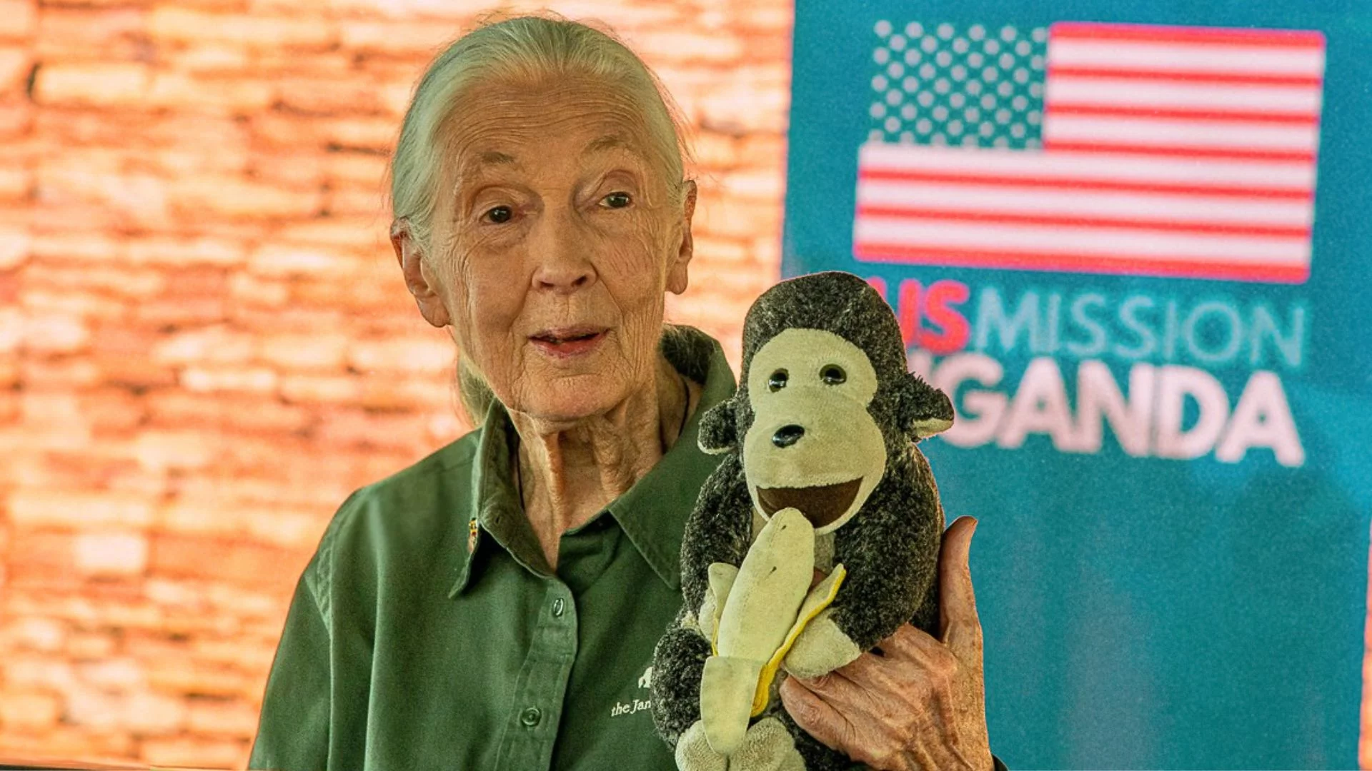 Jane Goodall nie tylko badała szympansy. Dzięki niej zobaczyliśmy nowe oblicze człowieka 