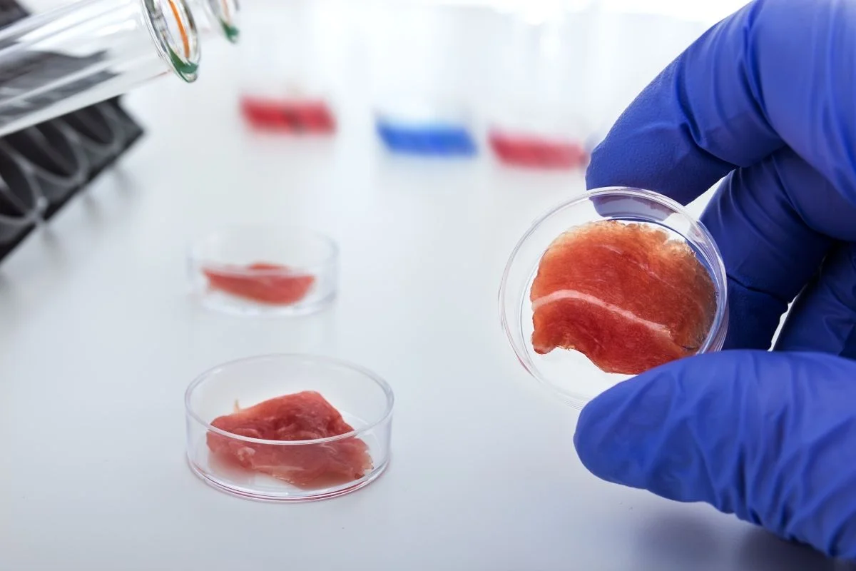 W USA kończą się już prace nad przepisami, które umożliwią wprowadzenie na rynek produktów z mięsa in vitro.