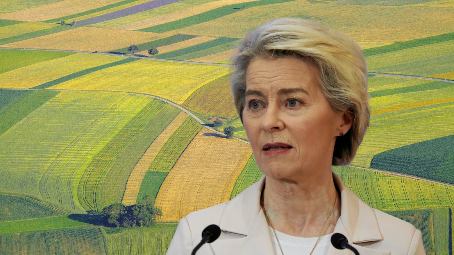 Umowa handlowa z Mercosurem przyjęta. Rolników czekają rekompensaty Kontrowersyjna umowa przyjęta. Unia na Mercosur czekała 25 lat