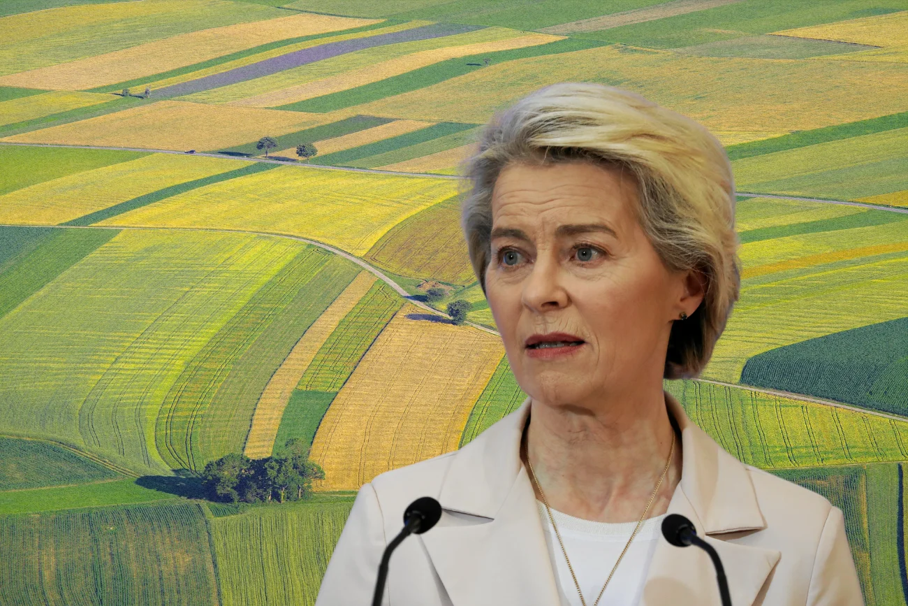 Umowa handlowa z Mercosurem przyjęta. Rolników czekają rekompensaty Kontrowersyjna umowa przyjęta. Unia na Mercosur czekała 25 lat