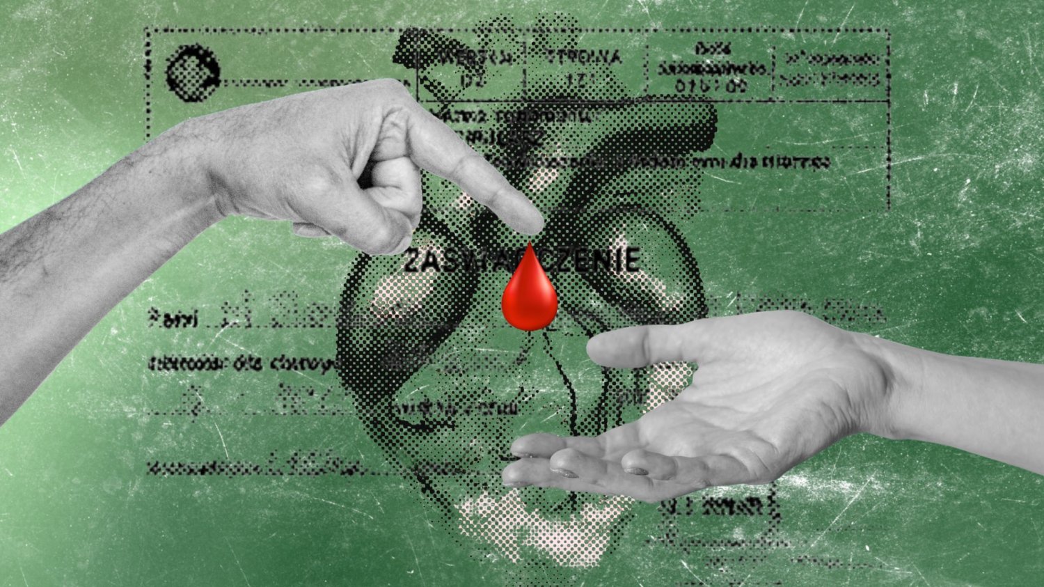 Benefity za oddanie krwi pod lupą. Polacy obawiają się o swoje dni wolne Dłonie podające krew na tle serca i zaświadczenia o oddaniu krwi.