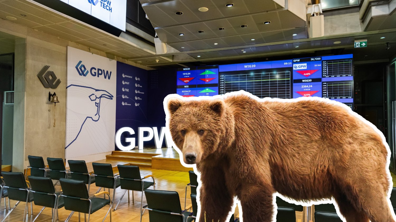 GPW i niedźwiedź.