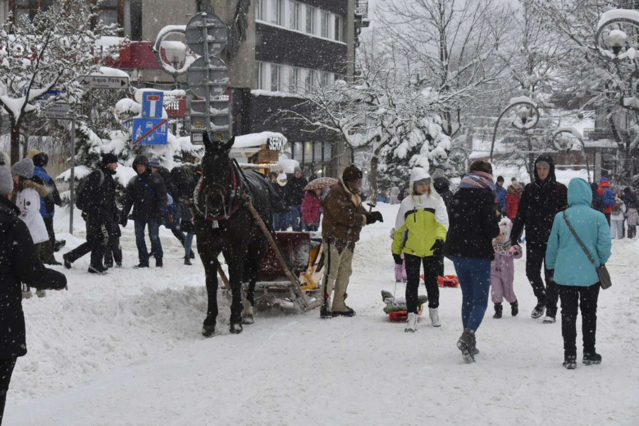 Kulig, turyści, Krupówki w Zakopanem.