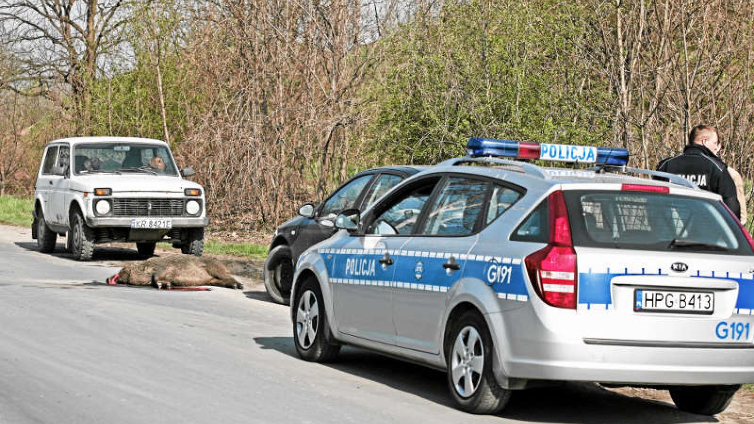 Wójt z Tarnowa Opolskiego wymyślił innowacyjne rozwiązanie, które ograniczy wypadki ze zwierzętami na drogach