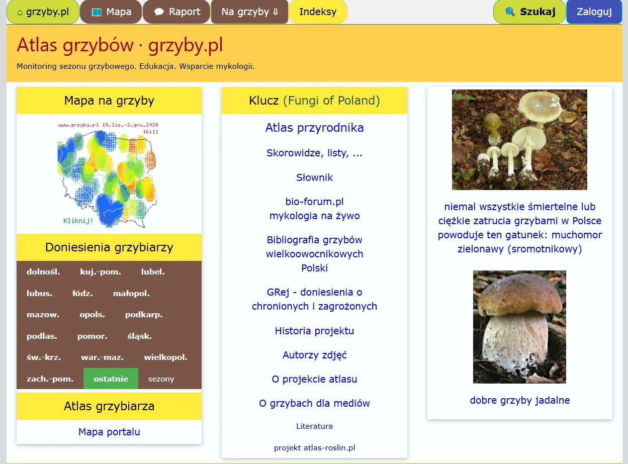 Fot. screenshot grzyby.pl