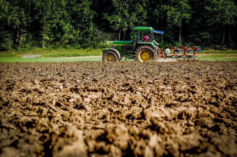 Instytut Zootechniki PIB w Krakowie działa od 1950 roku.
