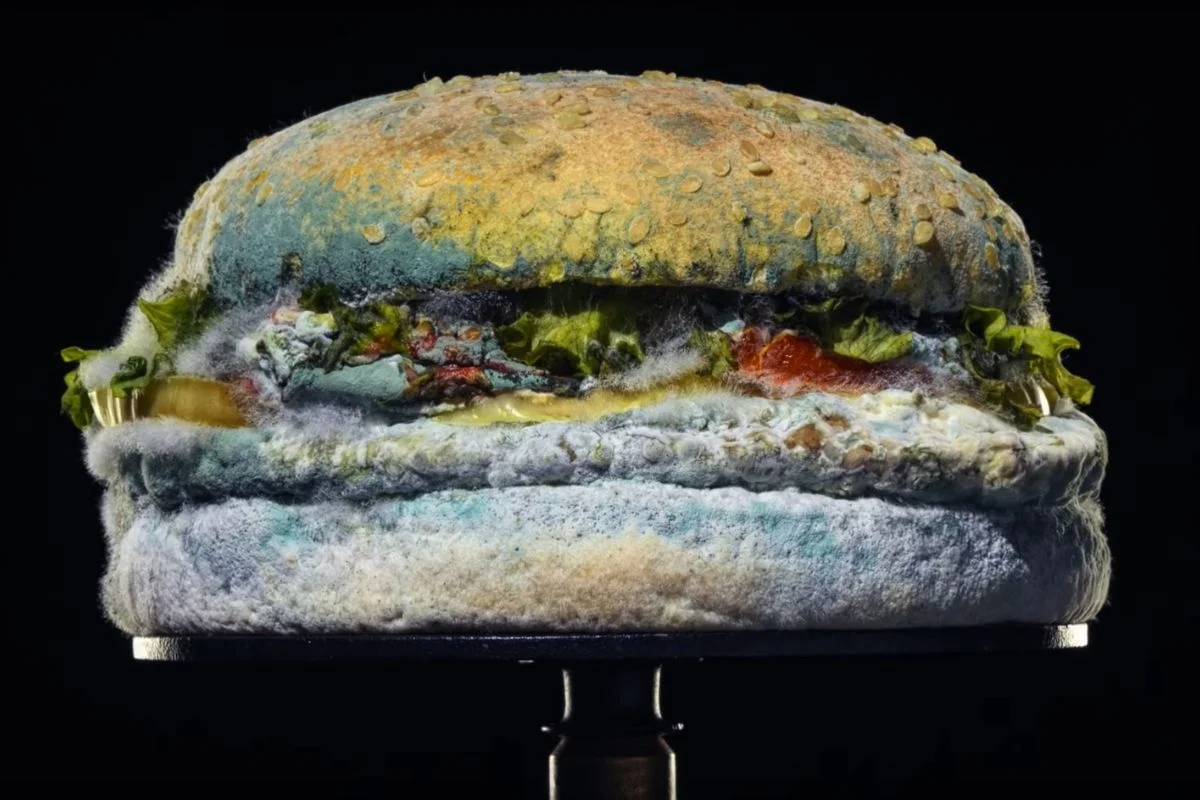 Reklama Burger Kinga z pleśniejącym Whopperem ma udowodnić, że w burgerze nie ma środków konserwujących.