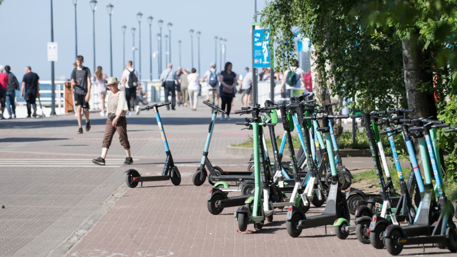 hulajnogi elektryczne zastawiające ścieżkę rowerową