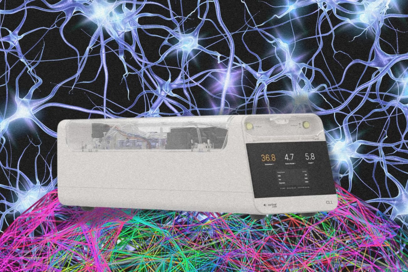 Oto pierwszy komputer z ludzkiego mózgu. Można go już zamawiać