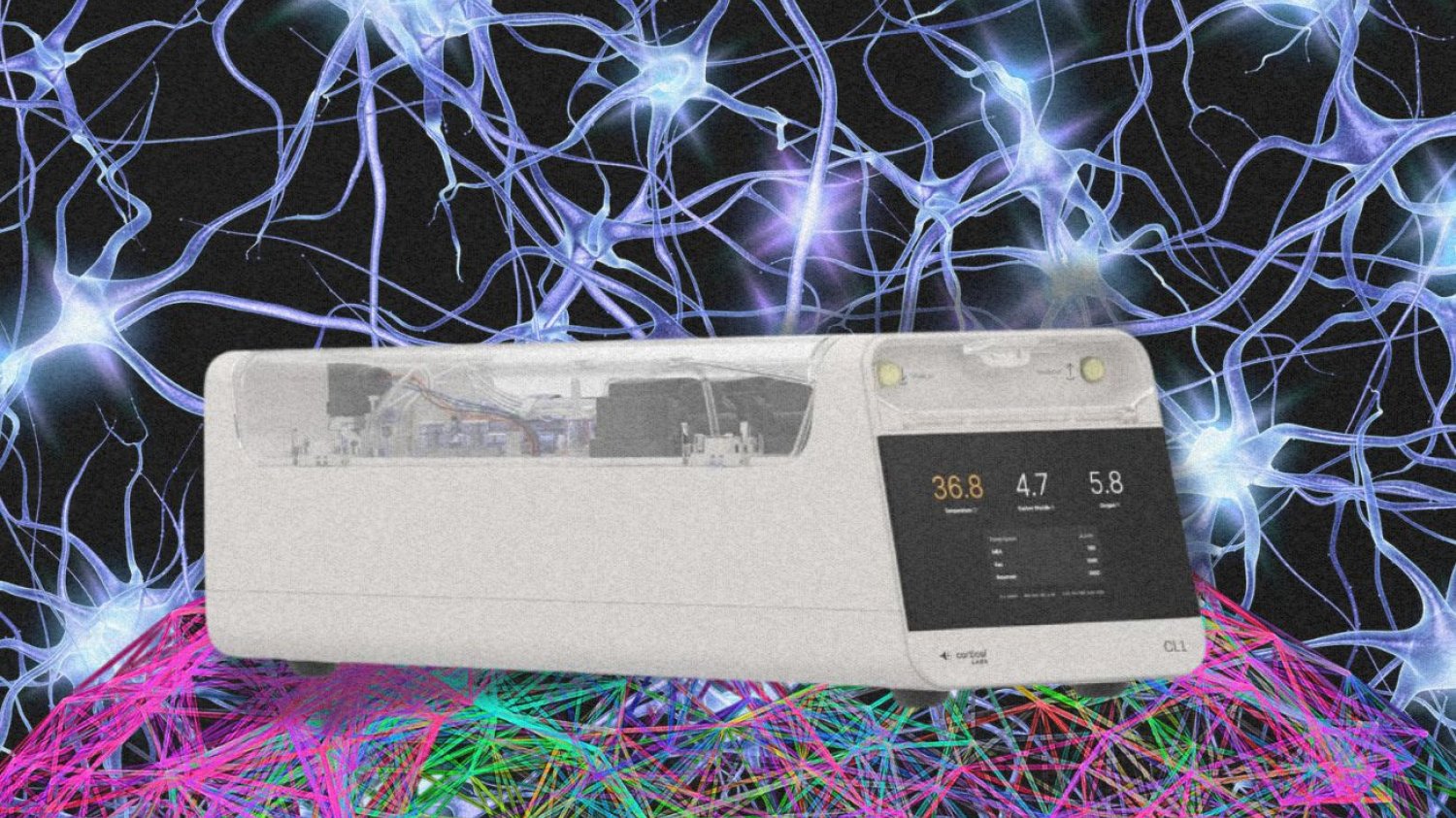 CL1 od Cortical Labs