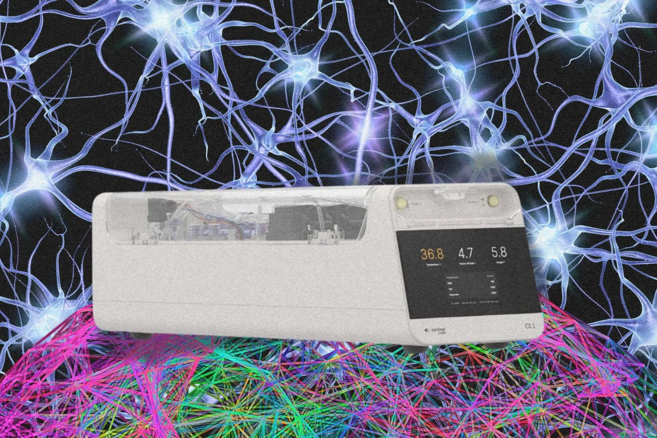 CL1 od Cortical Labs