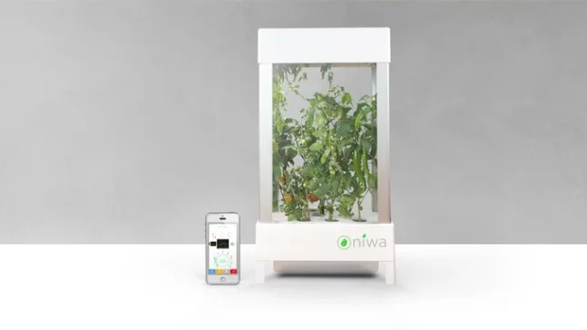 Prototyp NIWA