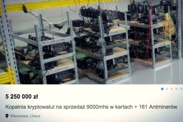 Na OLX można znaleźć różne perełki. Tanie rowery, używane Volkswageny, rasowe psy albo...kopalnię kryptowalut