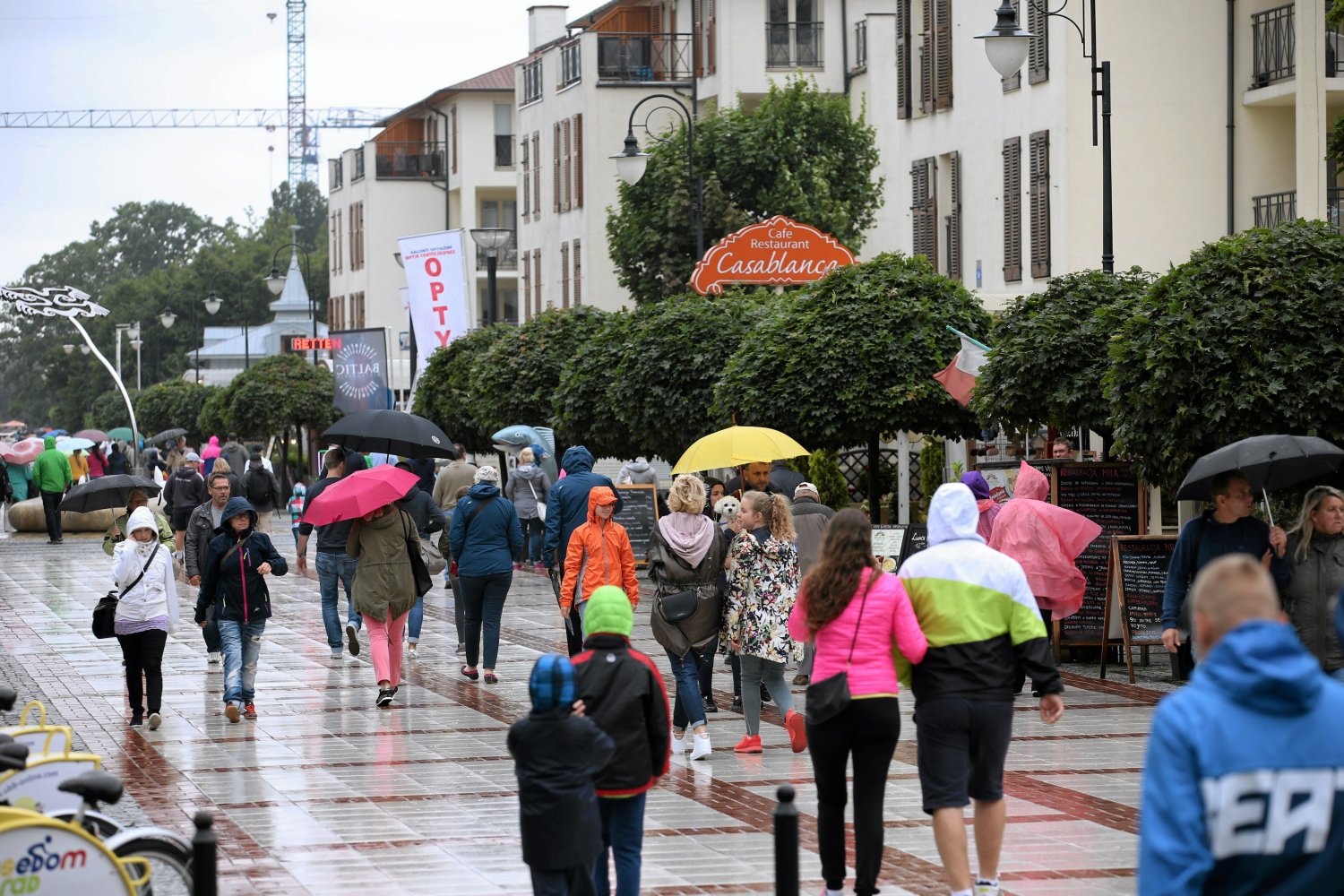 Naukowy rozprawiają się z mitem na temat tego, że deszcz wywołuje reumatyzm