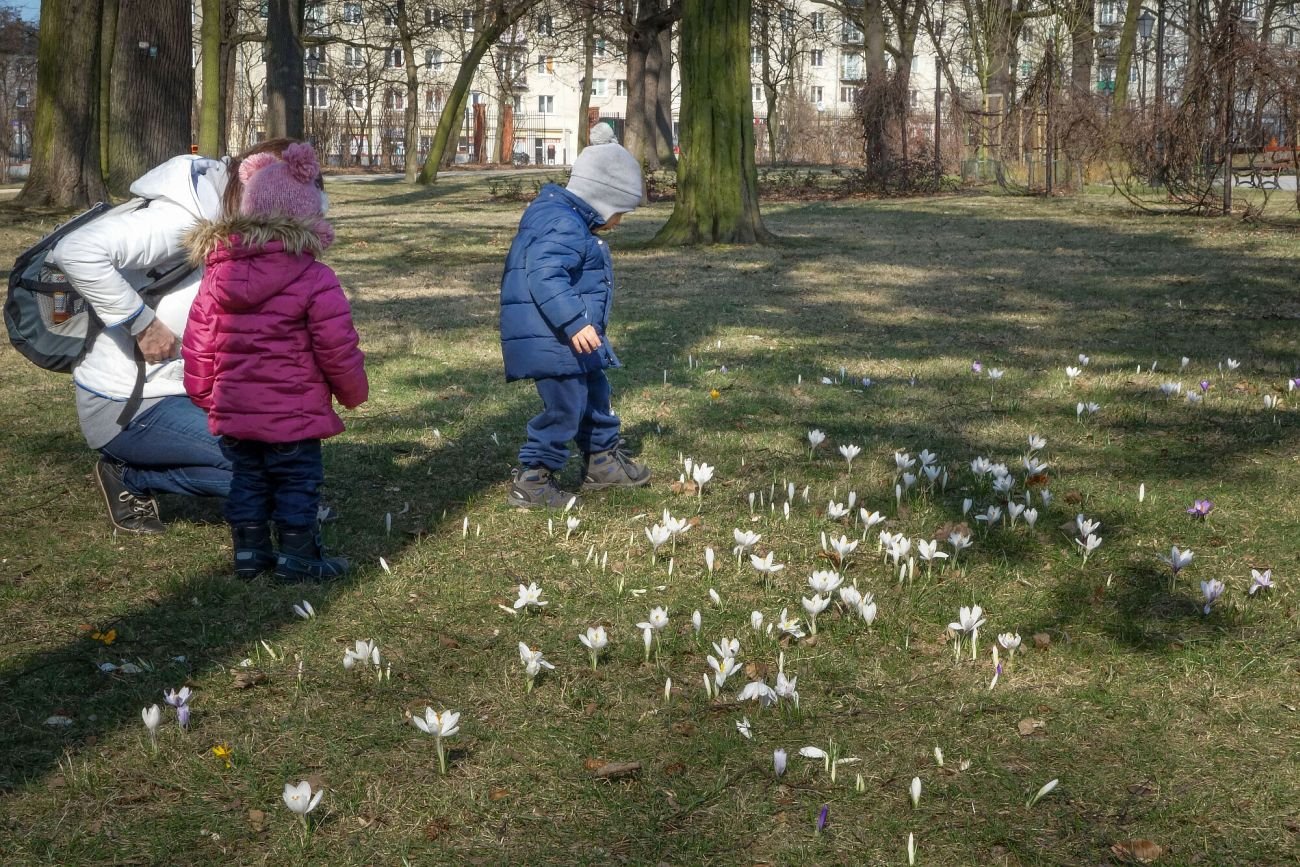 Zapach wiosny to nie fikcja. To, na co wszyscy czekamy, istnieje naprawdę