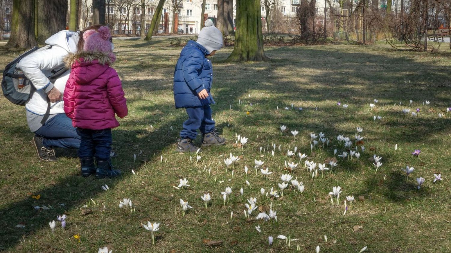 Są zdjęcia, których zapach czuć w powietrzu, prawda?