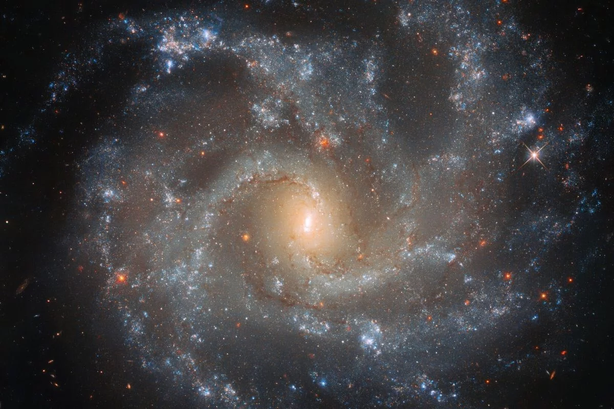Nawet z punktu widzenia kompletnego laika, teleskop Hubble'a podarował nam wiele niezapomnianych widoków. Już niedługo w kosmos poleci jego następna, Teleskop Kosmiczny Jamesa Webba.