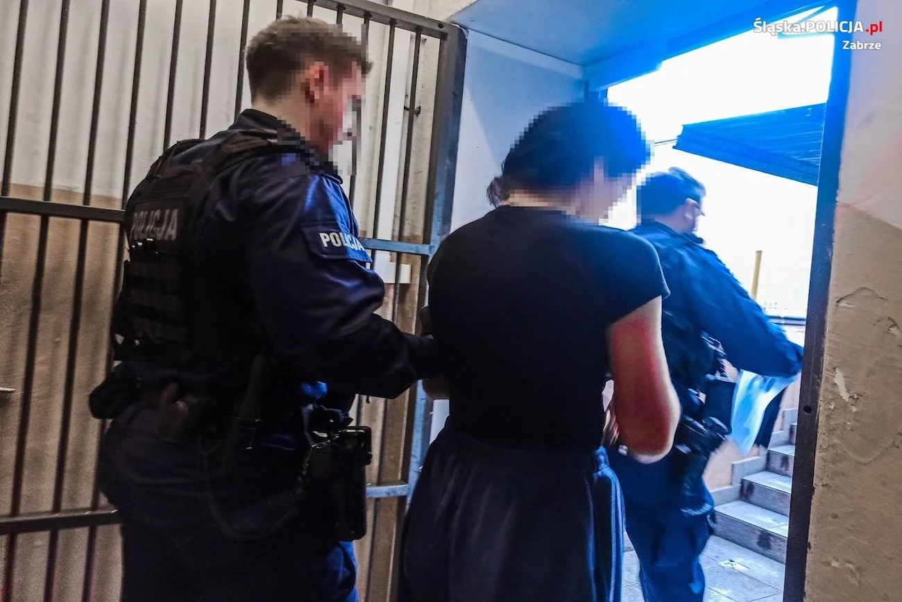 17-latka z Zabrza aresztowana. Nastolatka oszukiwała seniorów "na lakarza".
