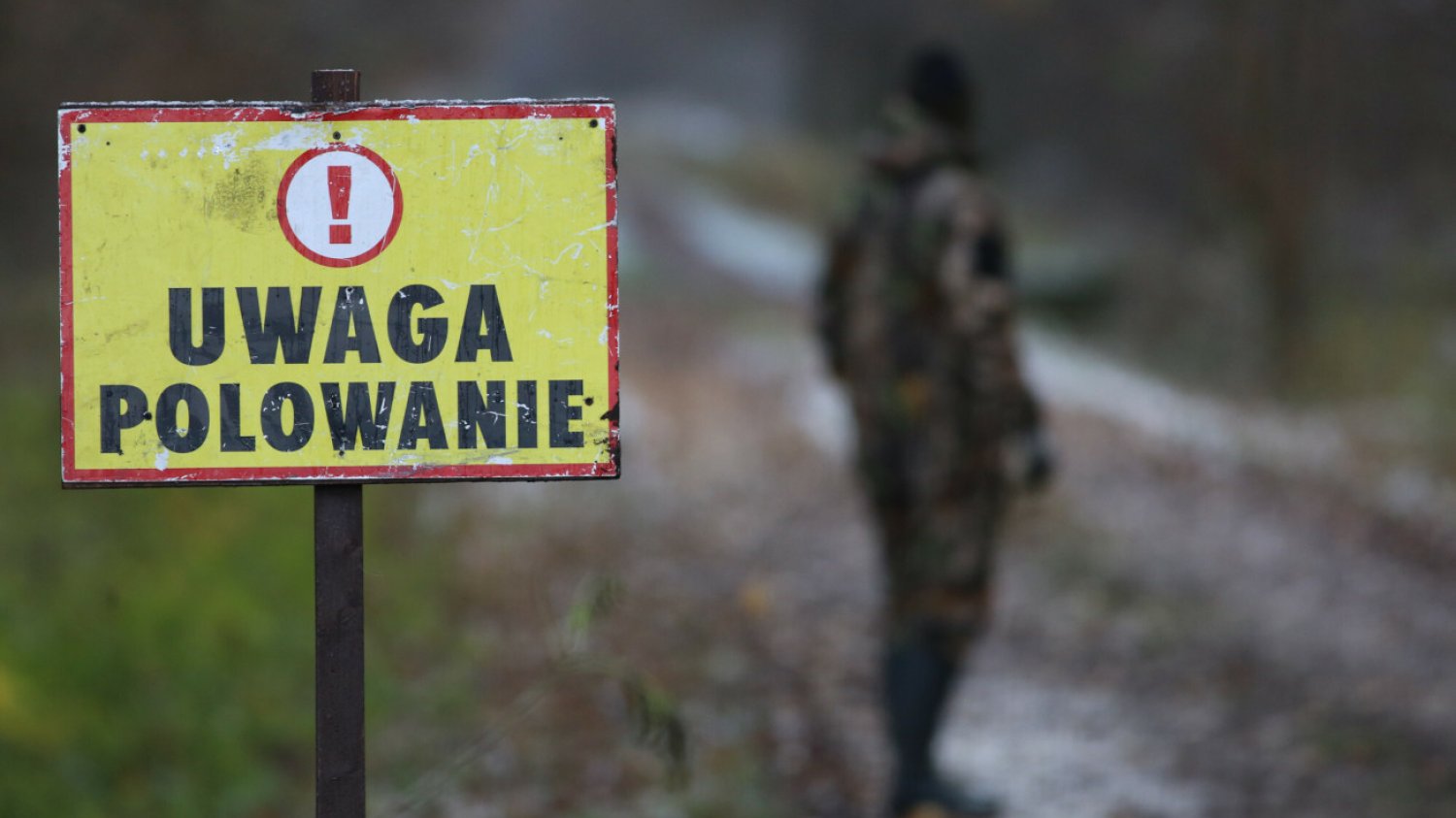 Rzecznik Praw Obywatelski Marcin Wiącek chce zmian w prawie regulującym Obwody Łowieckie