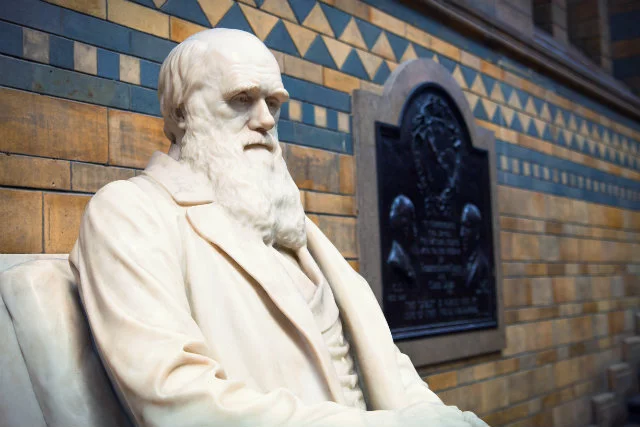 Z perspektywy współczesnego człowieka Darwin zostałby uznany za zwykłego obiboka