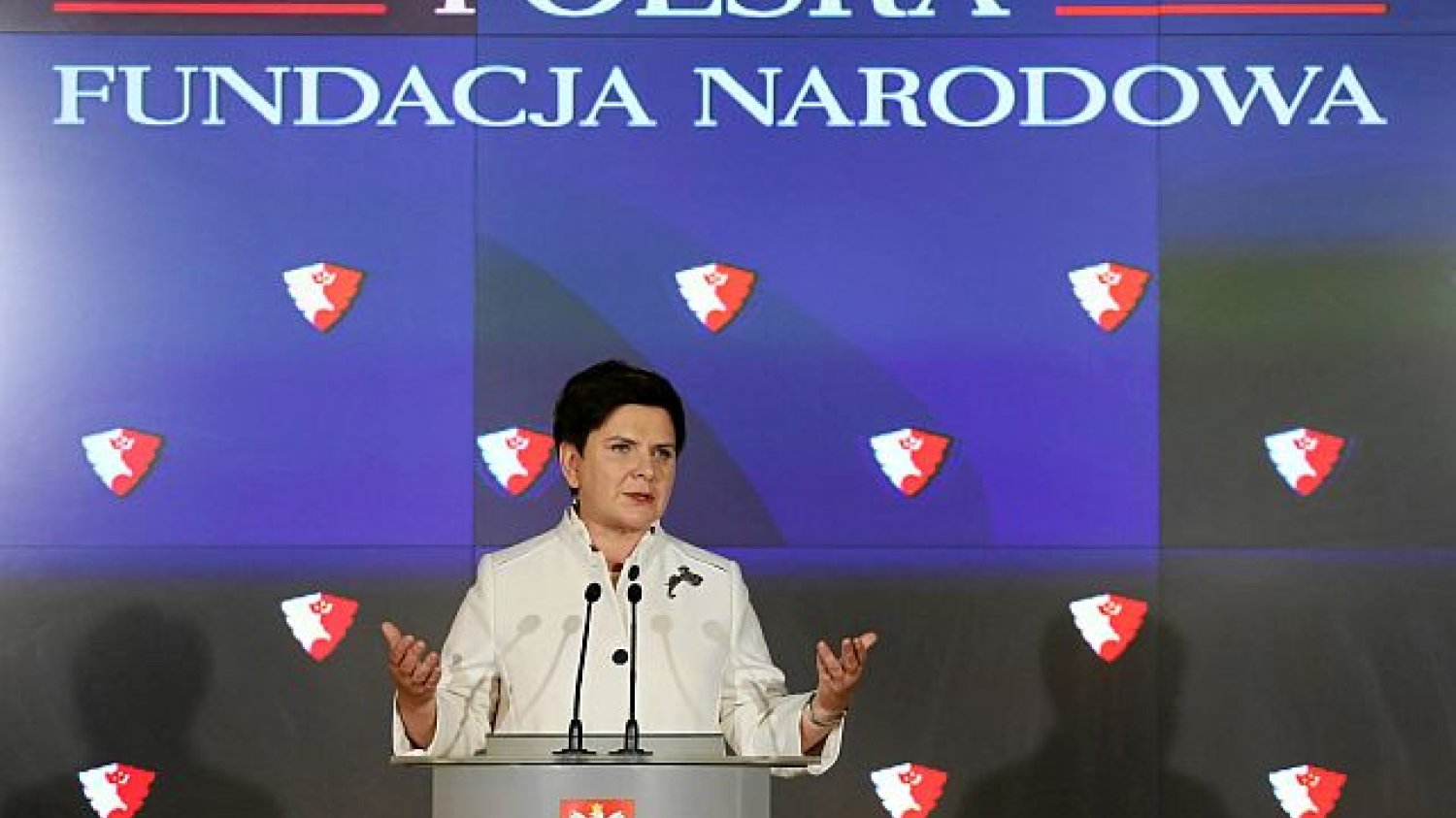 Premier Beata Szydło ogłosiła powstanie Polskiej Fundacji Narodowej w sierpniu 2016 roku. Od tej pory zmienił się tylko stan konta tej organizacji