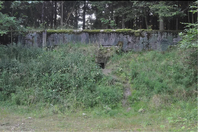 Bunkier, gdzie dokonano szokującego odkrycia.