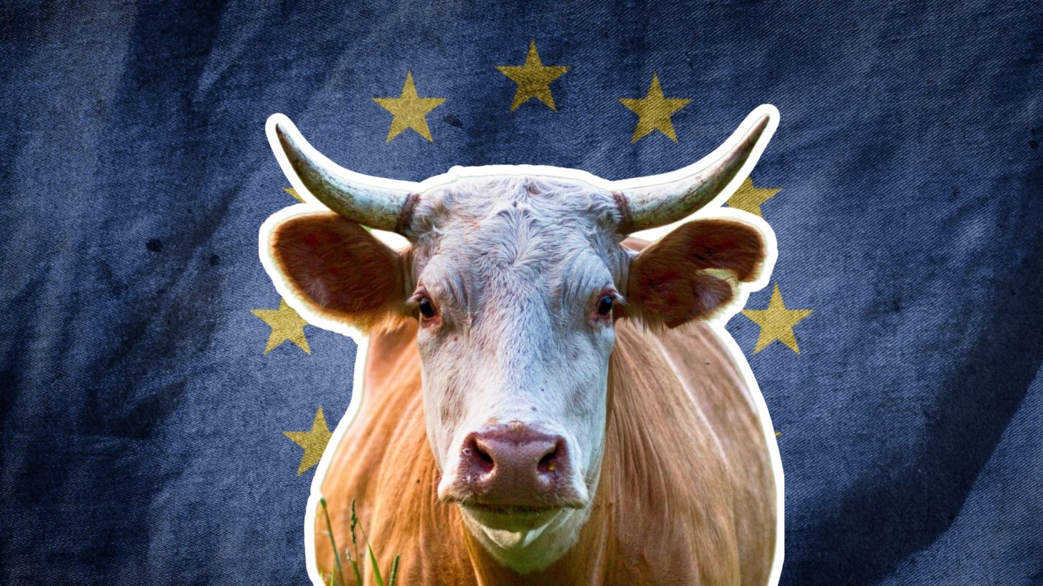 Mercosur uruchomiony. Czekam teraz na mojego taniego steka z Argentyny krowa na tle unijnych gwiazdek