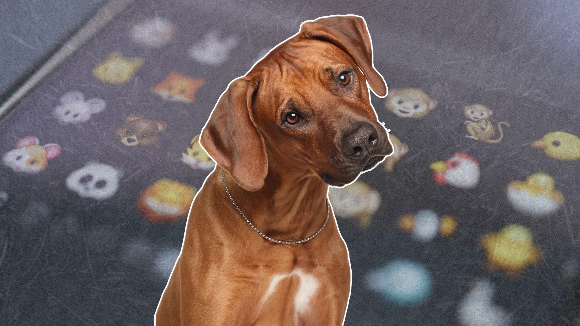 Pies na tle emotikonek. Możesz zmienić swojego zwierzaka w emoji