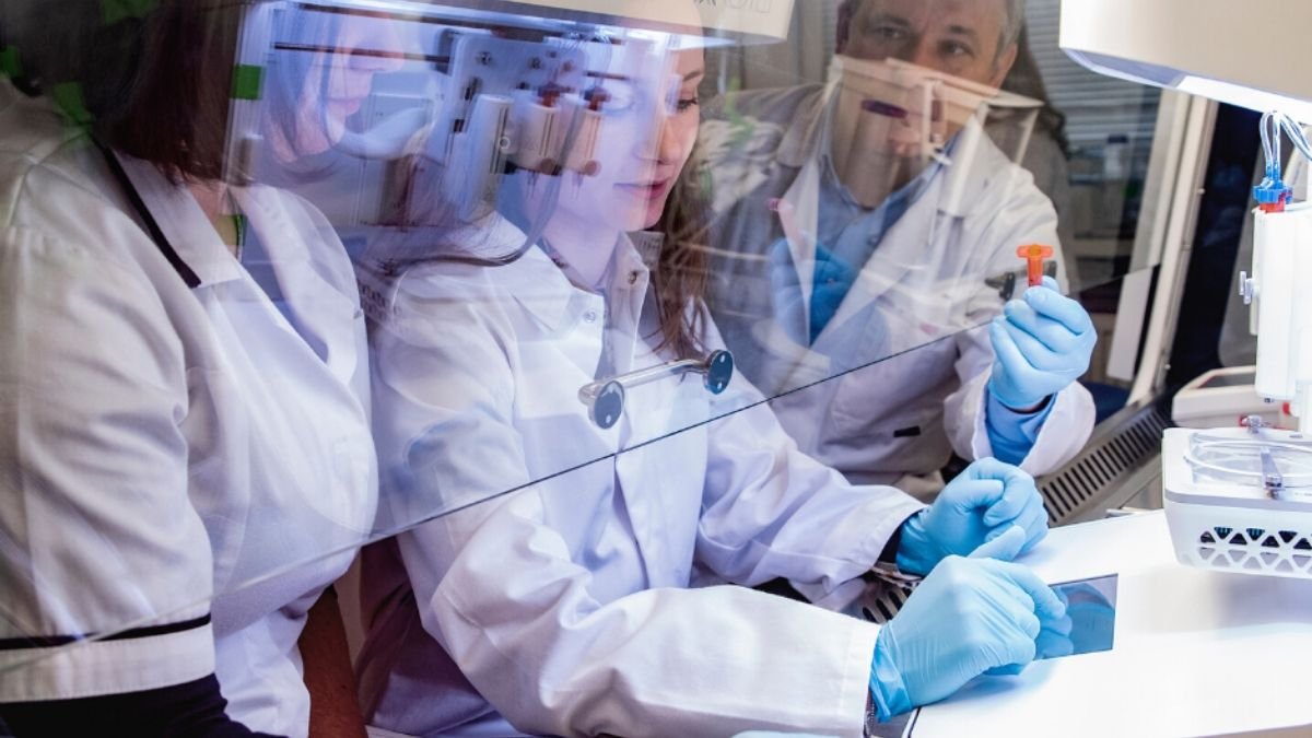 Polscy naukowcy stworzyli rewolucyjną bioniczną trzustkę. Teraz chcą rozwinąć skrzydła