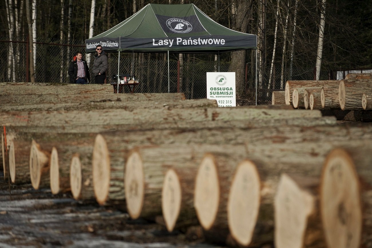 Lasy Państwowe potwierdzają wprowadzenie wyższych cen drewna