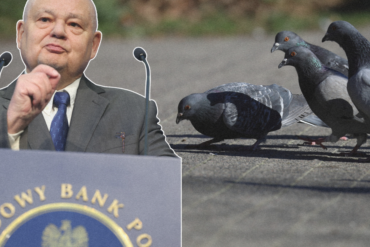 Adam Glapiński i gołębie.