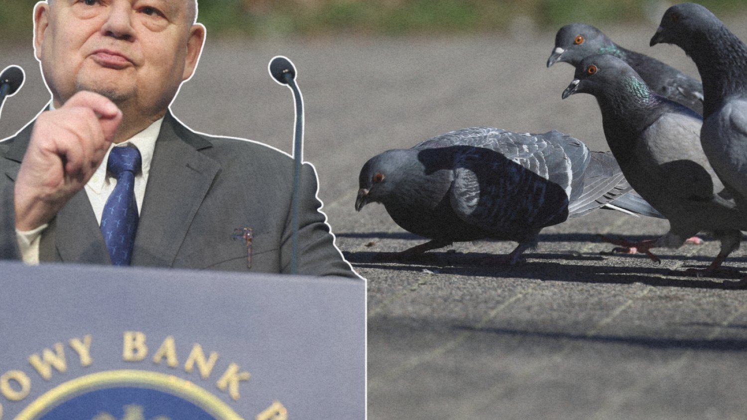 Adam Glapiński i gołębie.