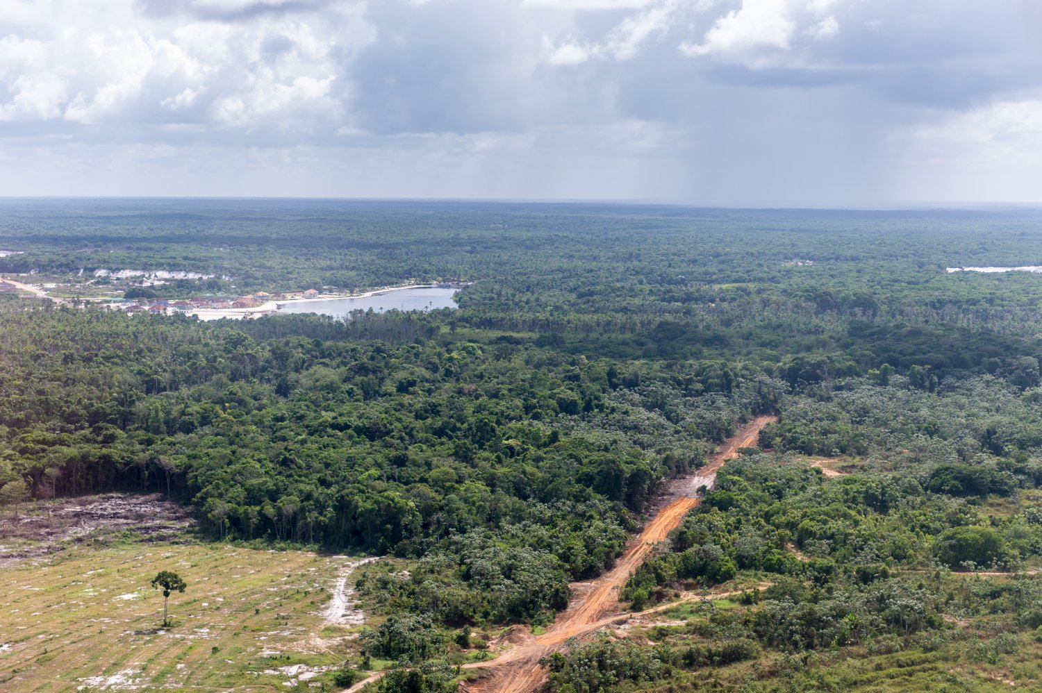 Gujana najbardziej znana była do tej pory z wydobycia i eksportu boksytów