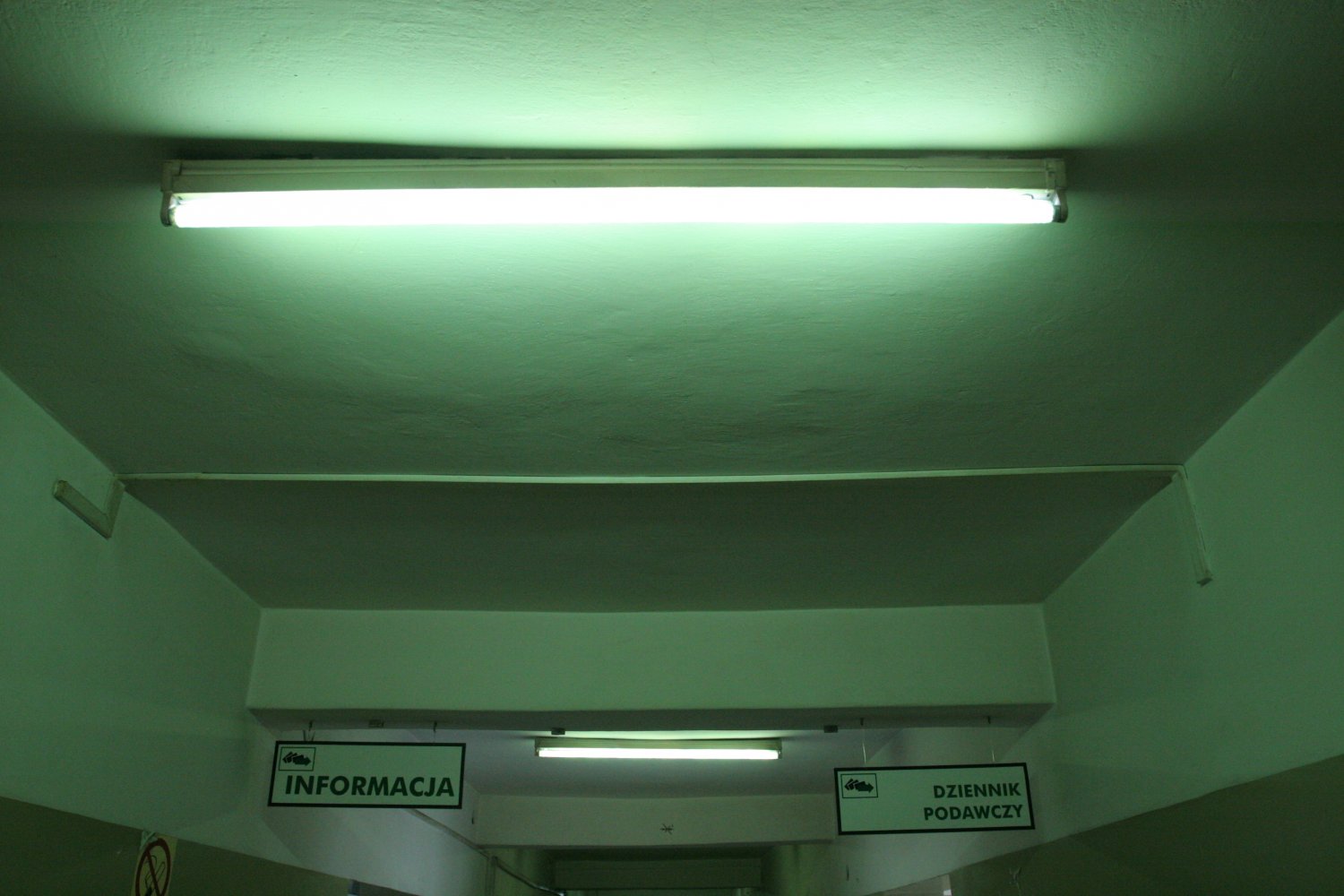 Świetlówki z rtęcią wciąż obecne są w wielu biurach i urzędach.