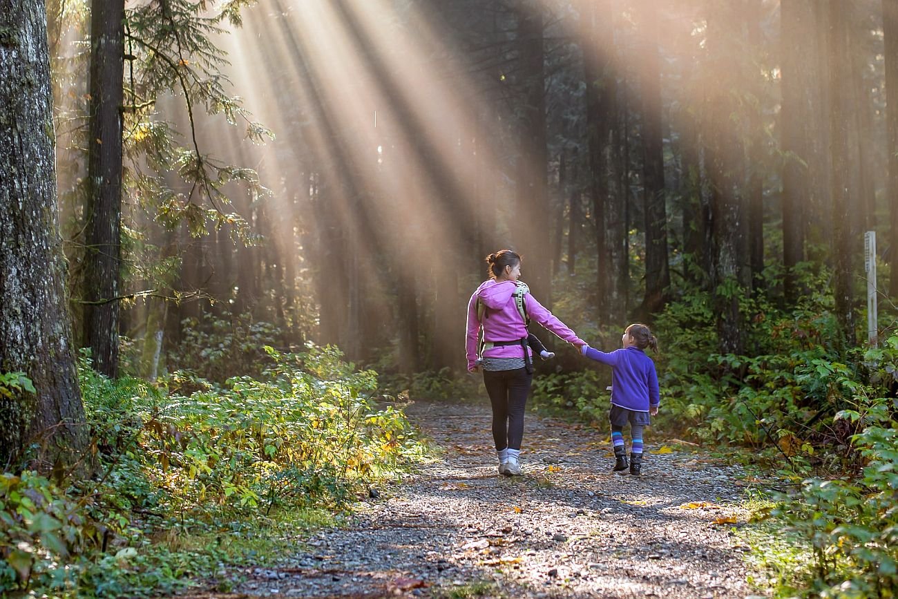 Rząd chce wprowadzić opłaty za wstęp do wszystkich parków narodowych