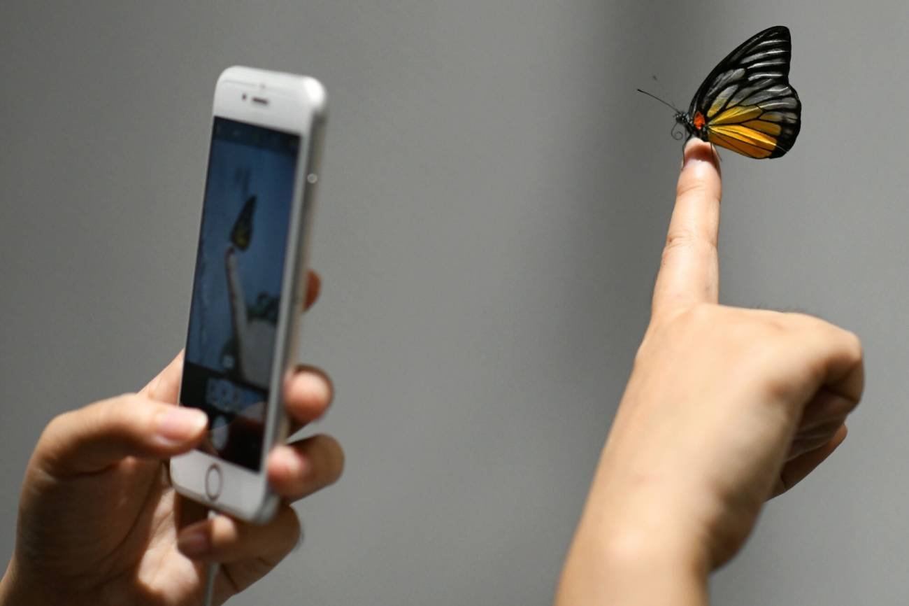 Szwajcarski startup przeprowadził eksperyment z udziałem wirtualnej rzeczywistości i organicznego komputera.