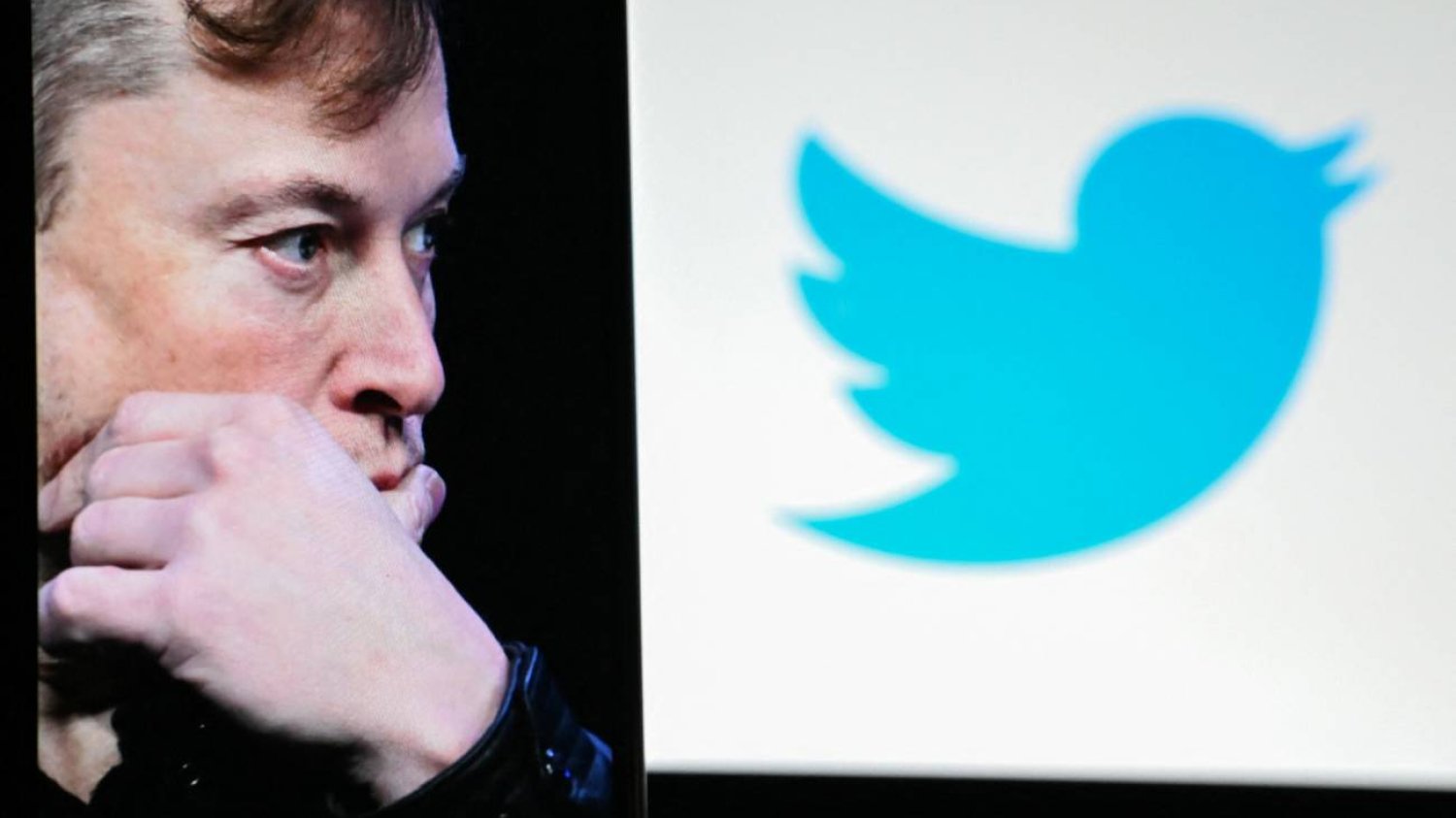 Elon Musk przed logiem Twittera.