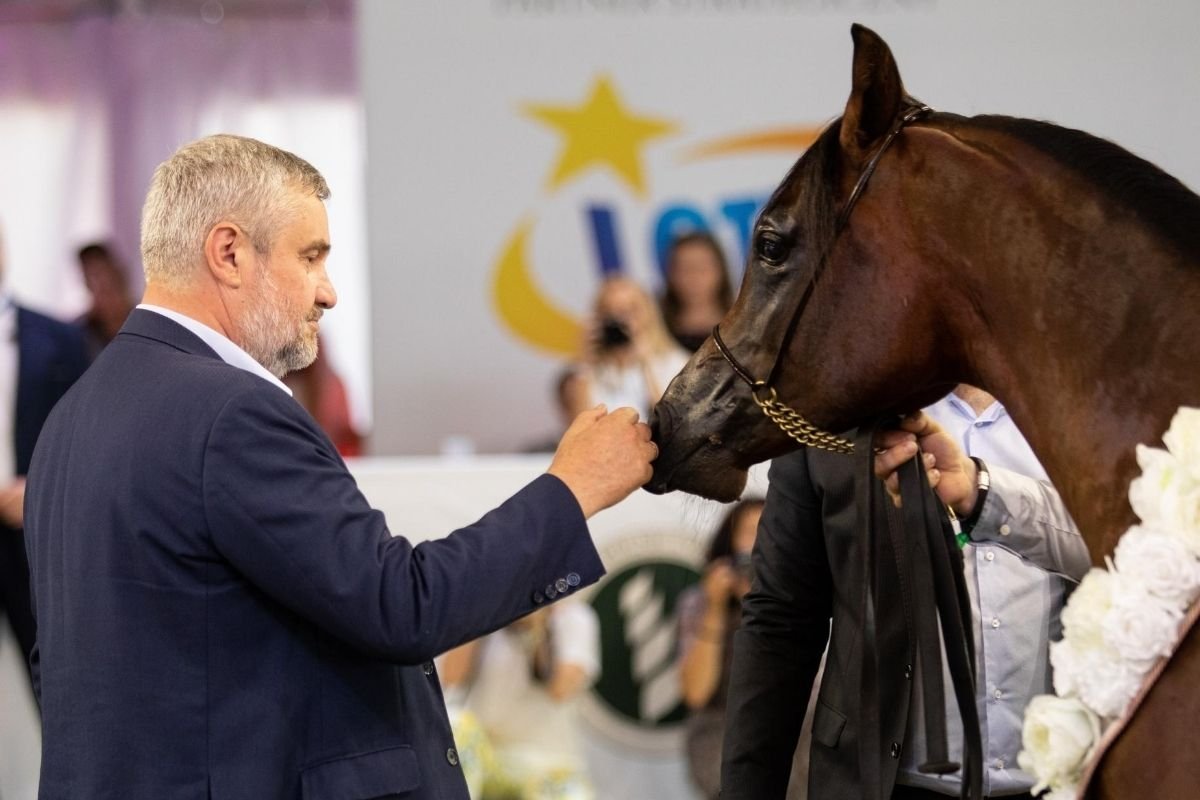 Podczas aukcji Pride of Poland 2020 sprzedano konie arabskie za łączną kwotę prawie 1,6 mln euro.