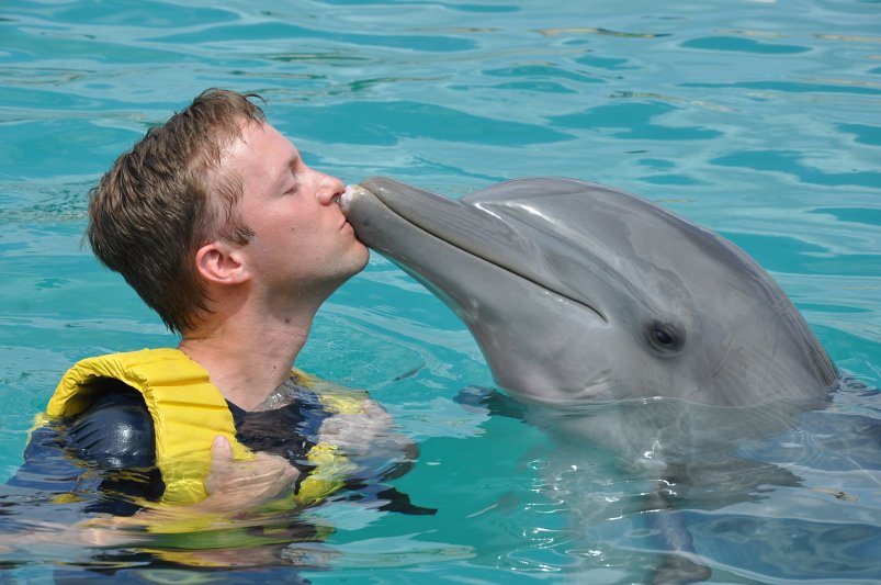 Delfiny to jedne z najbardziej przyjaznych człowiekowi zwierząt. Ludzkość fascynuje się nimi także od strony naukowej. Właśnie zaprezentowano światu odkrycie związane z ich sposobem widzenia