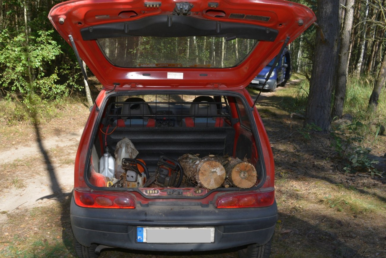 Dwóch mężczyzn ukradło drewno i upychało je w osobówce