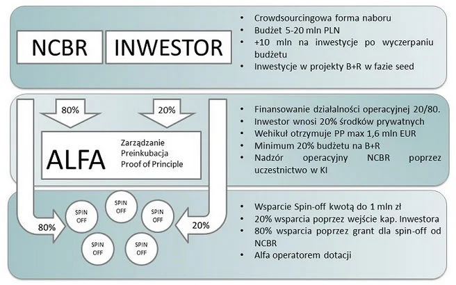 Plan działania programu BRidge Alfa.