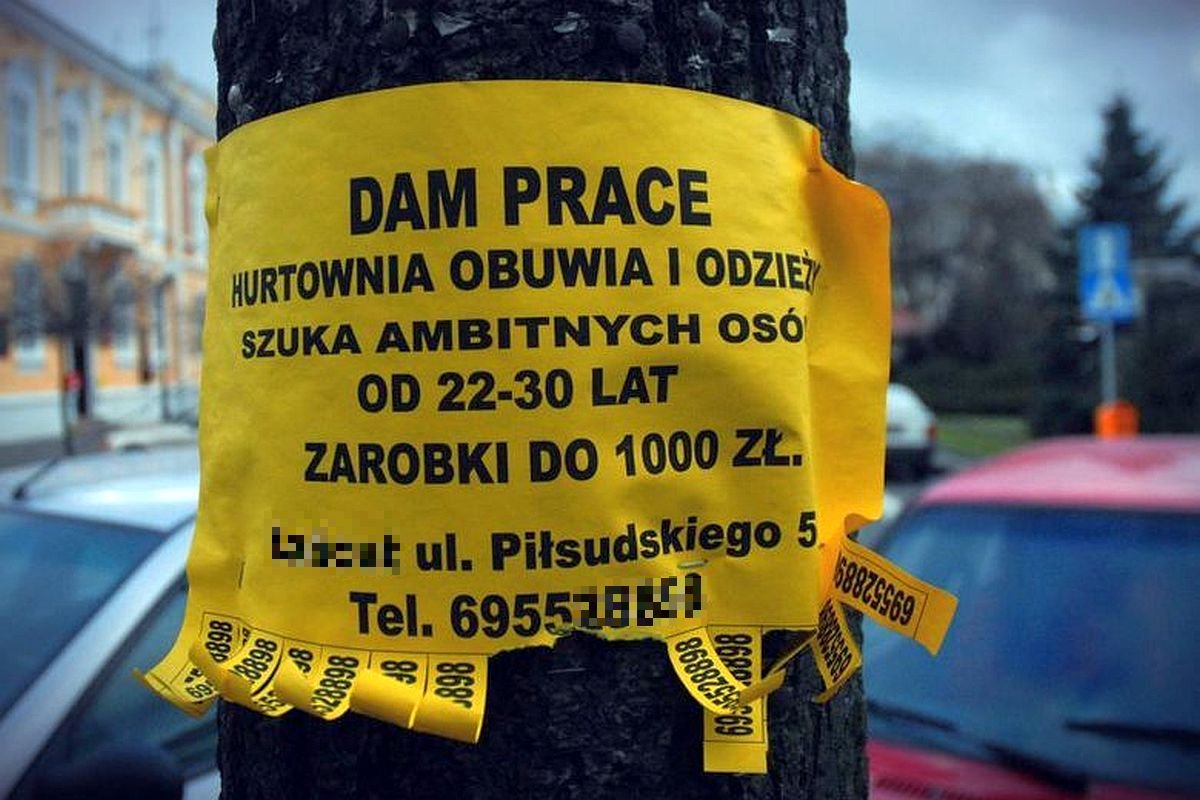 Prawo i Sprawiedliwość otwiera nowy front walki - tym razem z umowami śmieciowymi