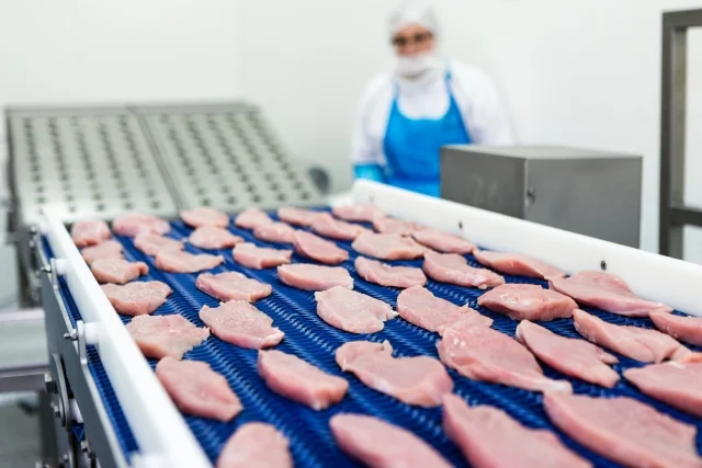 Dziennie Indrol przerabia 200 ton mięsa