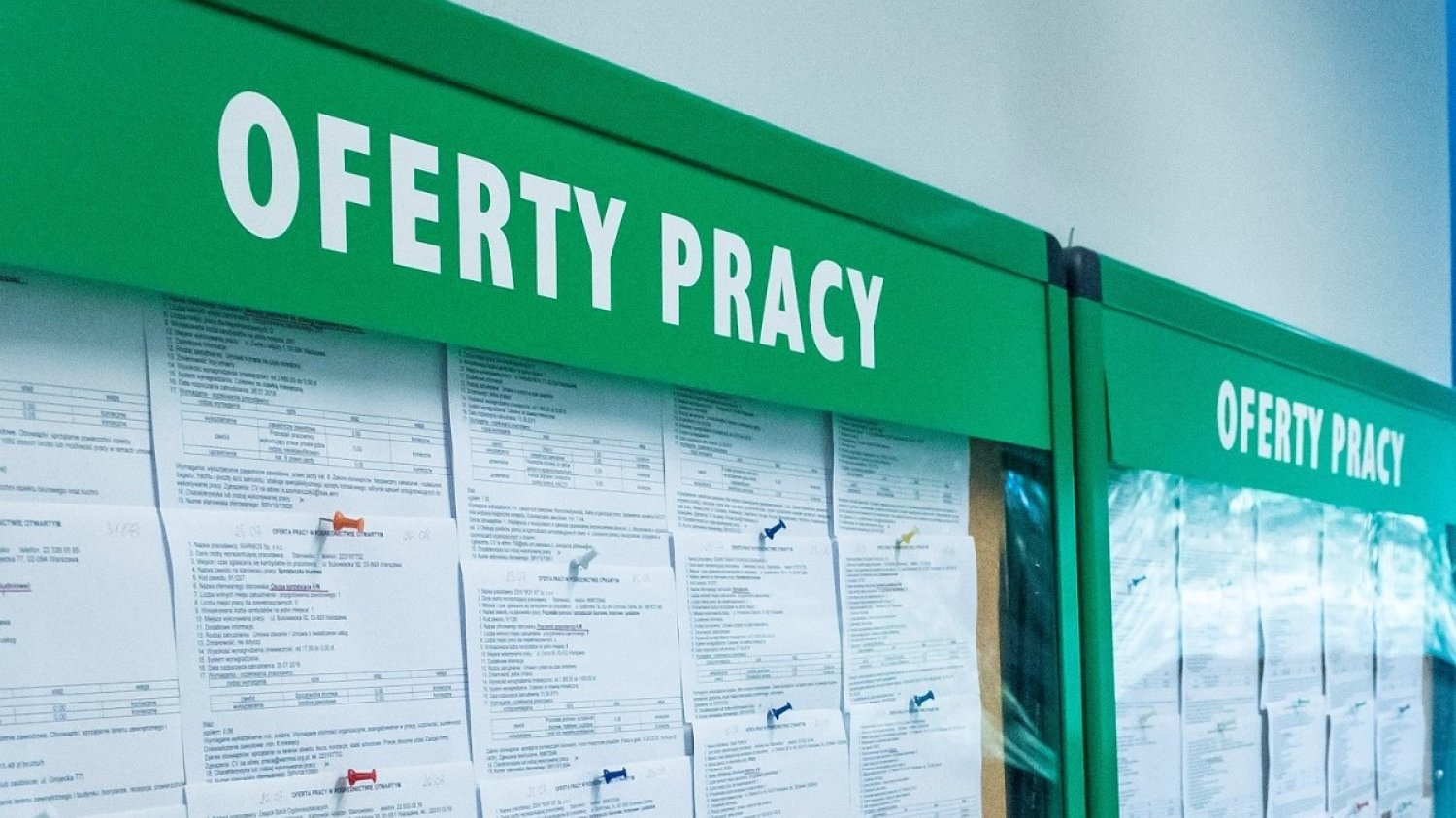 Umowy śmieciowe jeszcze nie pójdą do kosza