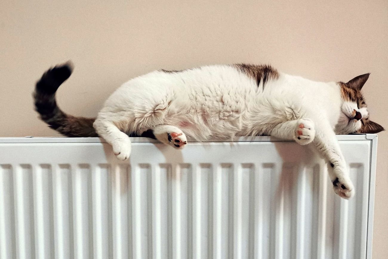 Kiedy kaloryfery zaczną grzać?