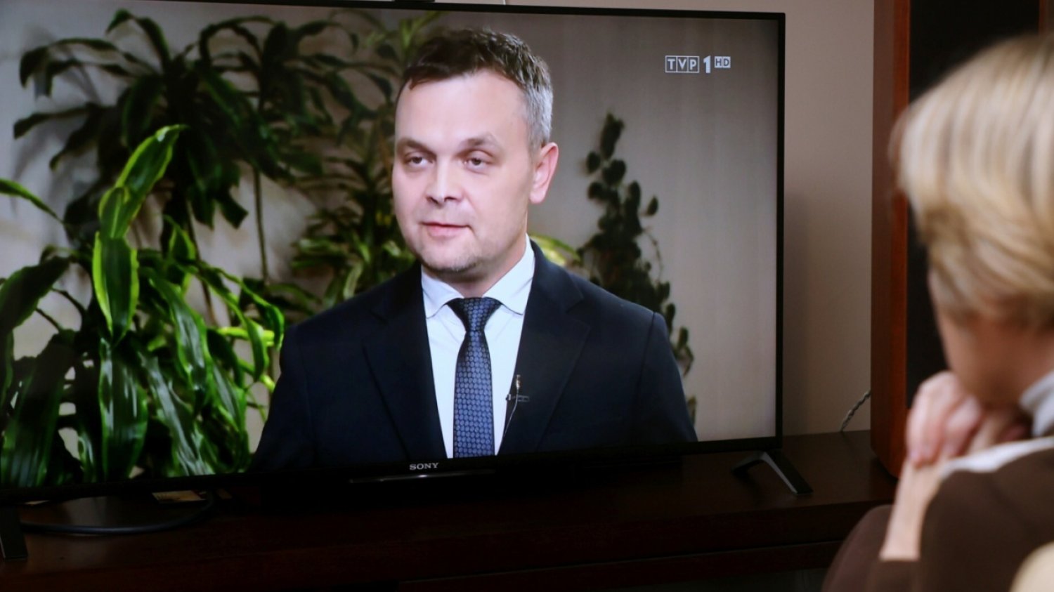 Tomasz Sygut, telewizor.