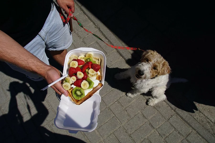 Łatwiej o dietę dla aktywnych fizycznie niż umysłowo. Akcja "Snacks for Progress" w Zielonej Górze.