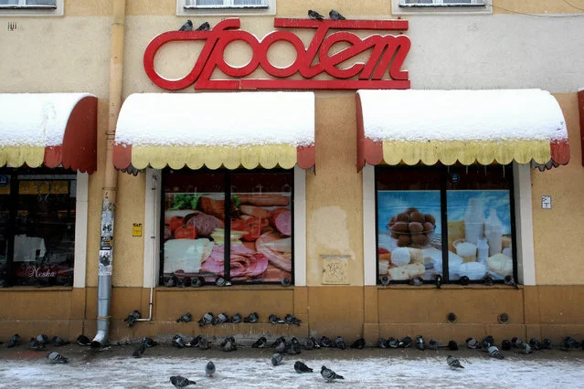 Jeden ze sklepów Społem w Lublinie